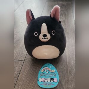 George Squishmallow Dog